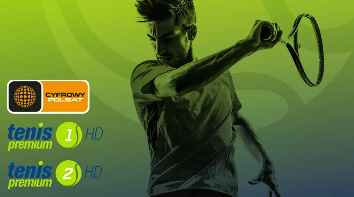 Tenis Premium Iko T1