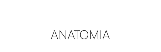 YH5BAEAAAAALAAAAAABAAEAAAIBRAA7