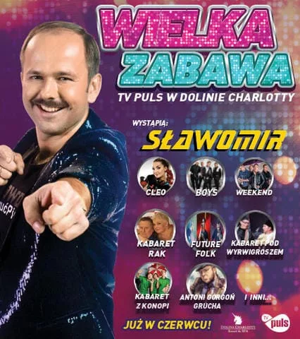 Plakat Stronka