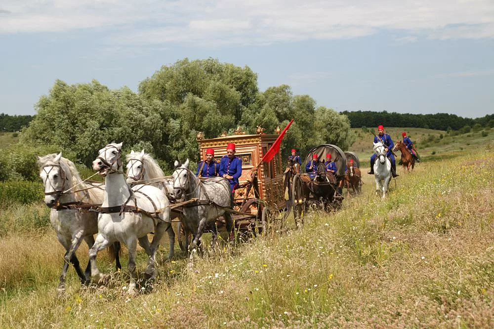 Stepowa Milosc 2014