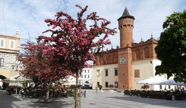 Tarnów - Lato z Radiem i Telewizją Polską