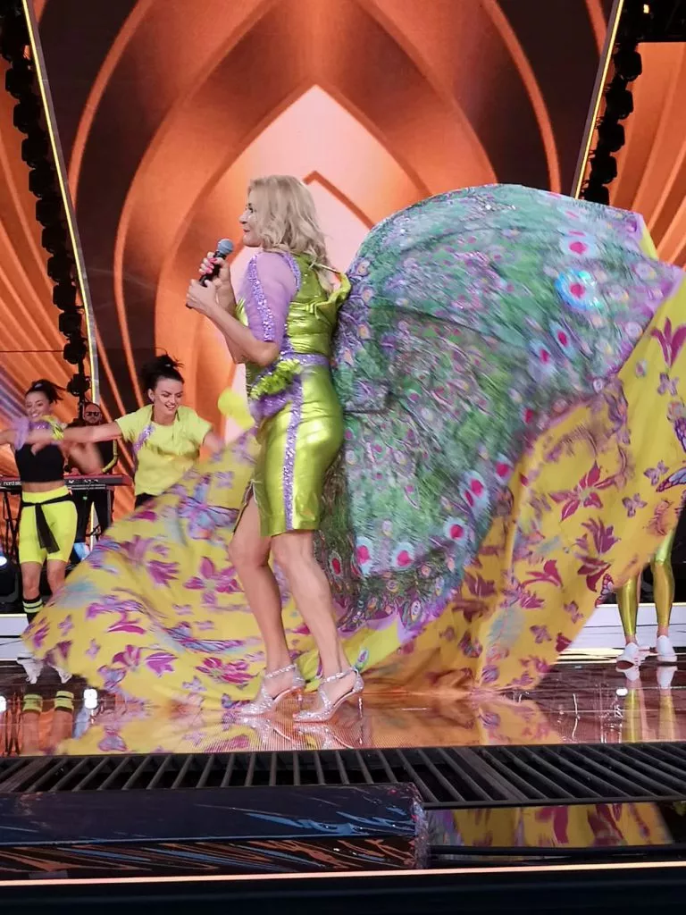 64541840_2278859569043895_5871294510666874880_n